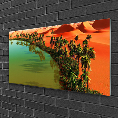 Üvegkép falra Lake Palm Desert