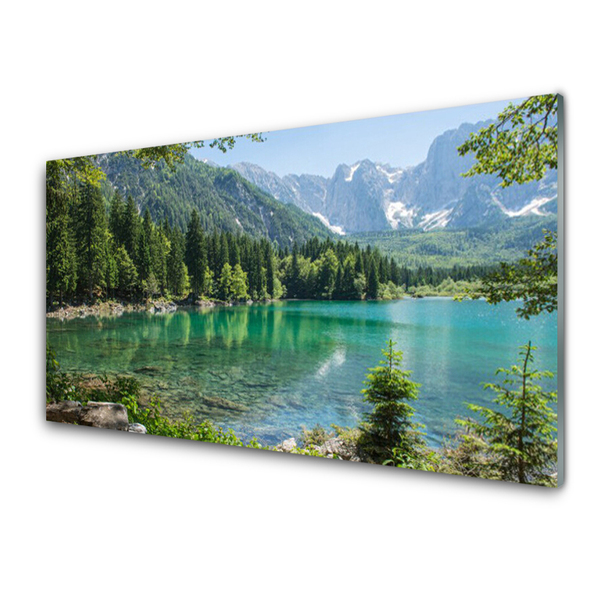 Üvegkép Természet-hegység Lake Forest