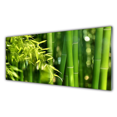 Üvegkép Bambusz levelek Plant