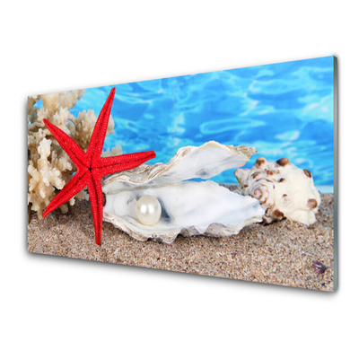 Üvegkép Starfish Shells Természet