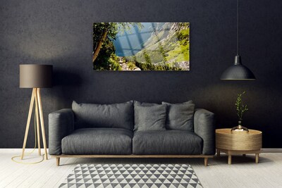 Üvegkép falra Mount Forest Nature