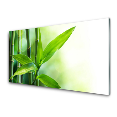Üvegfotó Bamboo Leaf Nature Plant