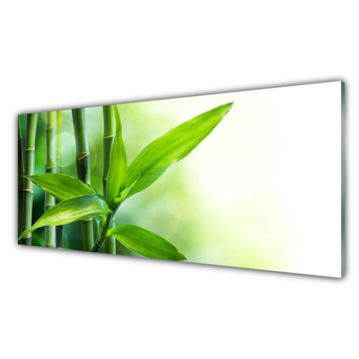 Üvegfotó Bamboo Leaf Nature Plant