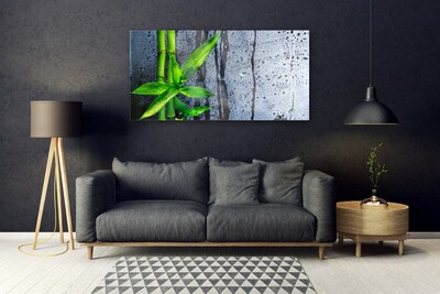 Modern üvegkép Bamboo Leaf Nature Plant