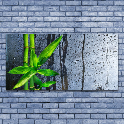 Modern üvegkép Bamboo Leaf Nature Plant