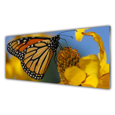 Üvegkép Butterfly Flower Természet