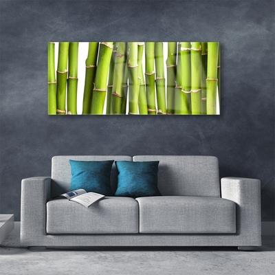 Fali üvegkép Bambusz növény természet