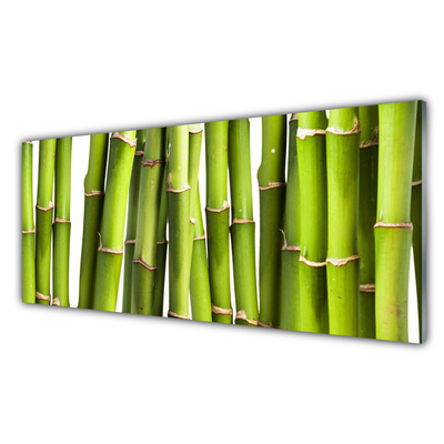 Fali üvegkép Bambusz növény természet