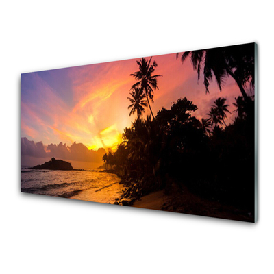 Üvegfotó Sea Sun Palm Landscape