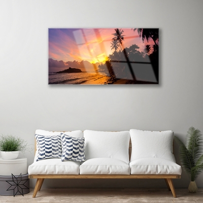 Üvegfotó Sea Sun Palm Landscape