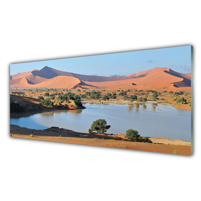 Üvegfotó Lake Desert Landscape
