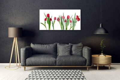 Modern üvegkép Tulipán virágok Plant