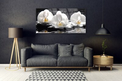 Üvegfotó Fehér orchidea virág