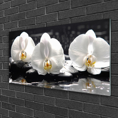 Üvegfotó Fehér orchidea virág
