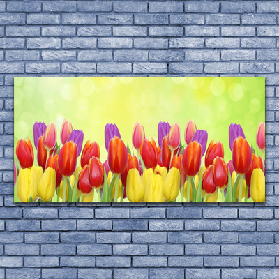 Üvegfotó Tulipán virágok Plant