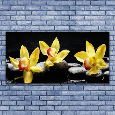 Fali üvegkép Virág orchidea növény