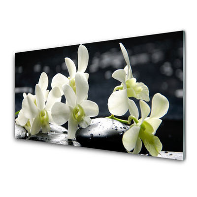 Üvegkép Virág orchidea növény