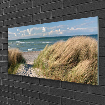 Üvegfotó Beach Sea Grass Landscape