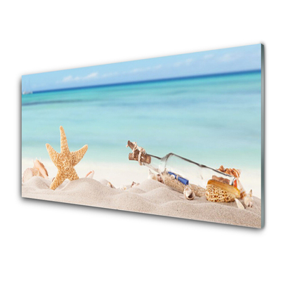 Üvegfotó Starfish Shells Beach
