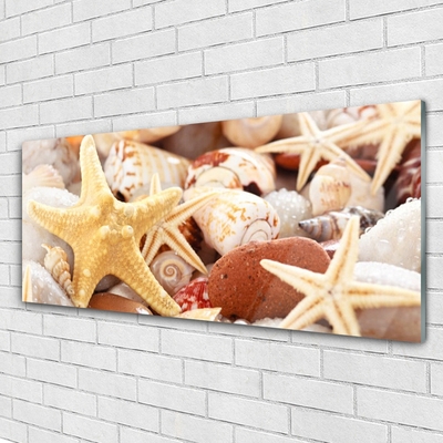 Modern üvegkép Starfish Shells Beach