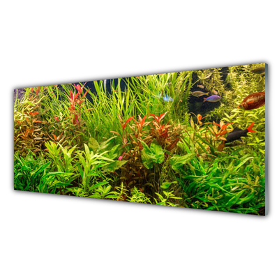 Üvegkép Akváriumi halak Növények