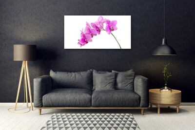 Modern üvegkép Orchidea virág orchidea