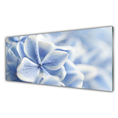 Üvegfotó Szirmok virágok természet