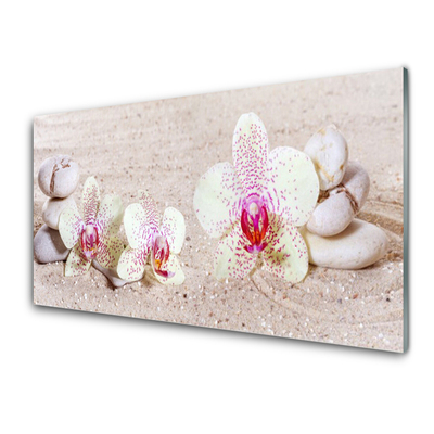 Fali üvegkép Orchidea Orchidea Sand