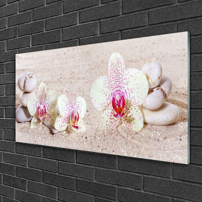 Fali üvegkép Orchidea Orchidea Sand
