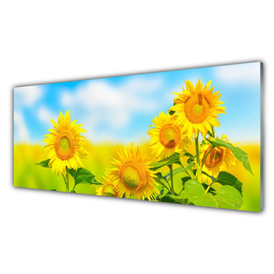 Üvegkép falra Napraforgó Virág Természet