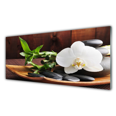 Fali üvegkép Bamboo Zen White Orchid