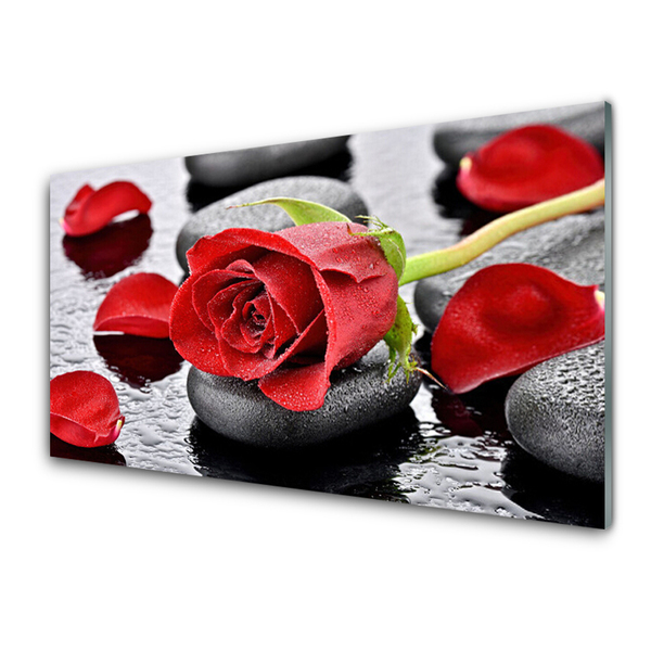 Fali üvegkép Red Rose Virág