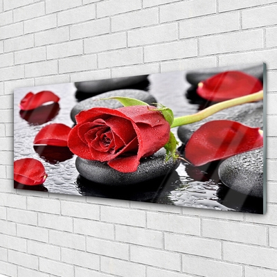 Fali üvegkép Red Rose Virág