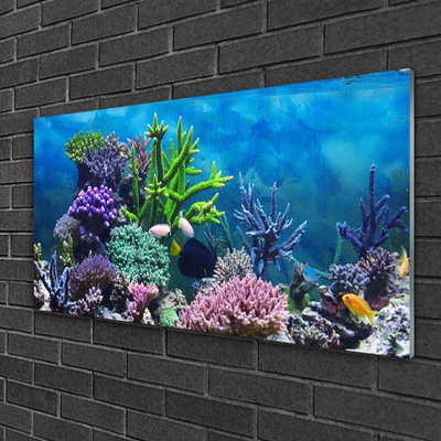 Üvegkép Akváriumi halak a víz alatt