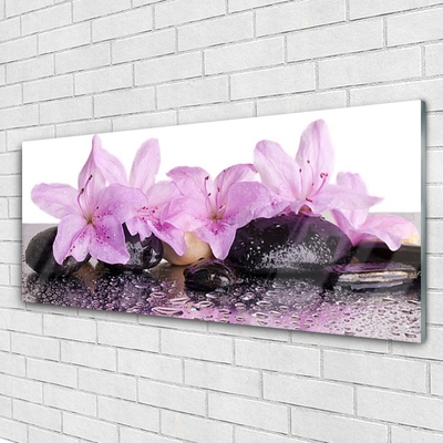 Modern üvegkép Víz liliom virágok Rosa