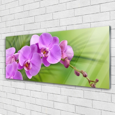Fali üvegkép Orchidea Orchidea Virág
