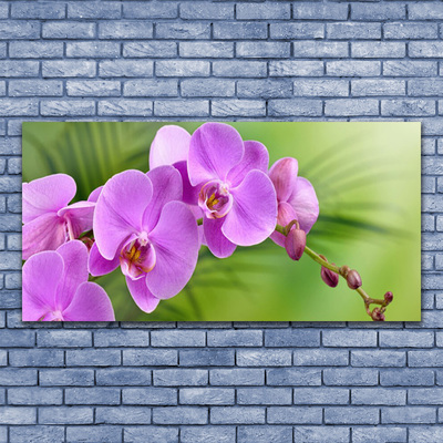 Fali üvegkép Orchidea Orchidea Virág