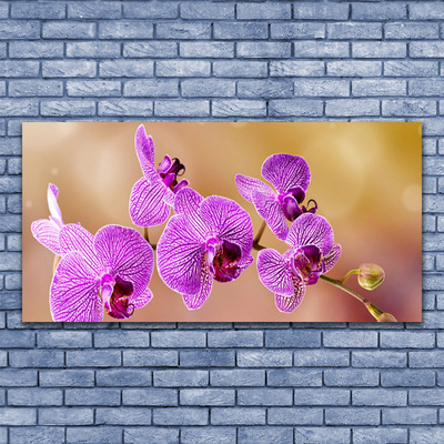 Üvegkép Rügyek orchidea virágok Természet