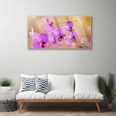 Üvegkép Rügyek orchidea virágok Természet