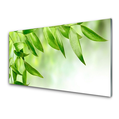 Üvegkép Zöld levelek Természet