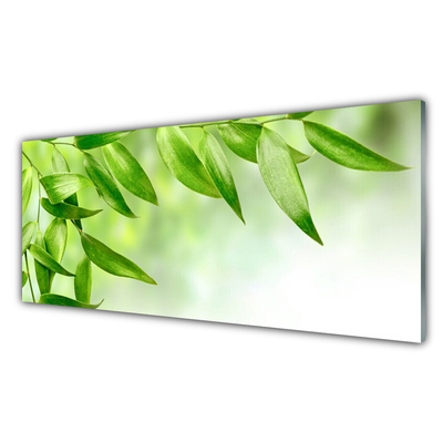 Üvegkép Zöld levelek Természet