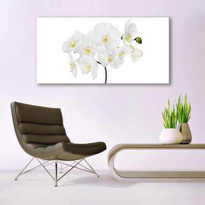 Modern üvegkép Fehér Orchidea Virág