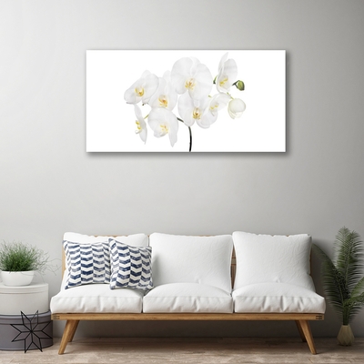 Modern üvegkép Fehér Orchidea Virág