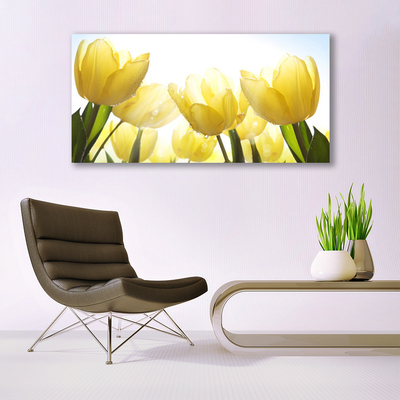Üvegkép Tulipán virágok Rays
