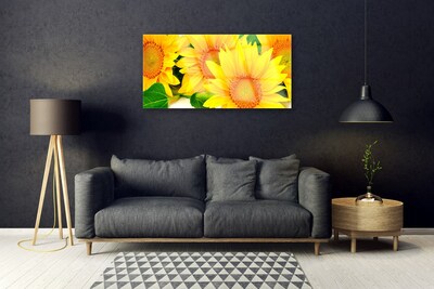 Üvegkép falra Napraforgó virág természet