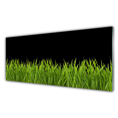 Üvegkép Green Grass Nature