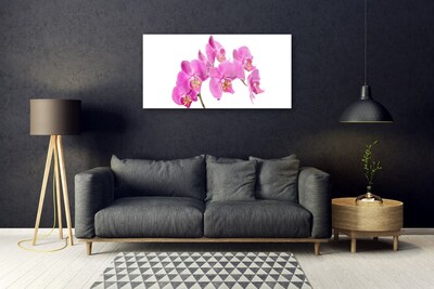 Fali üvegkép Orchidea virágok Természet