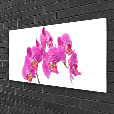 Fali üvegkép Orchidea virágok Természet