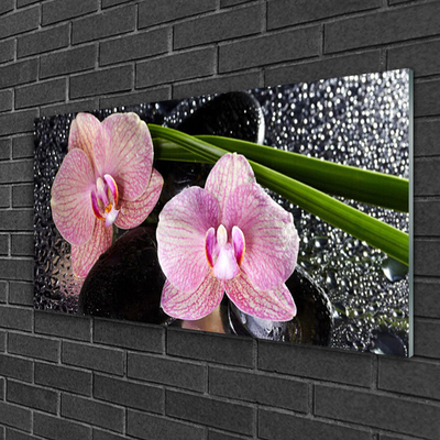 Fali üvegkép Orchidea virág orchidea Zen