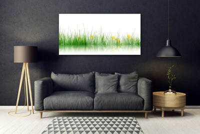 Modern üvegkép Nature Flowers Grass